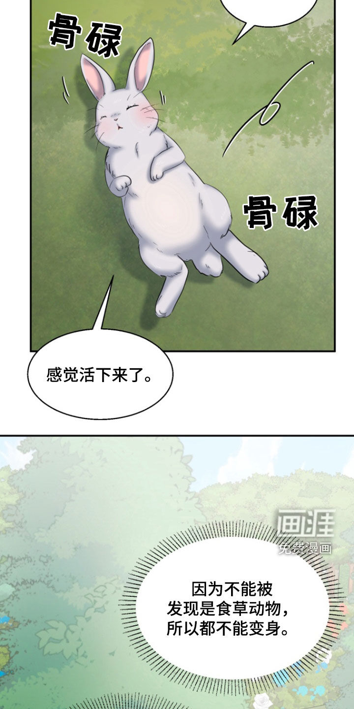 白兔为伴 第36话 第6页