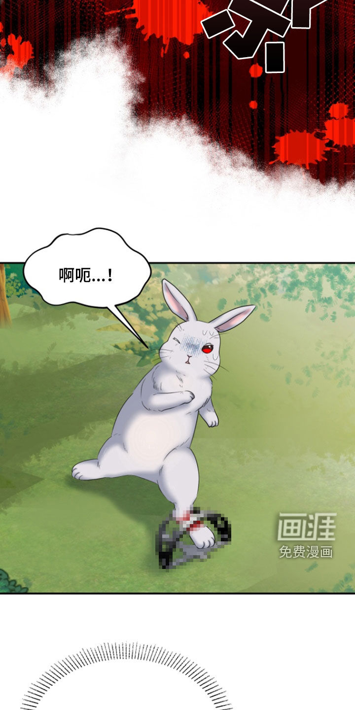 白兔为伴 第36话 第9页