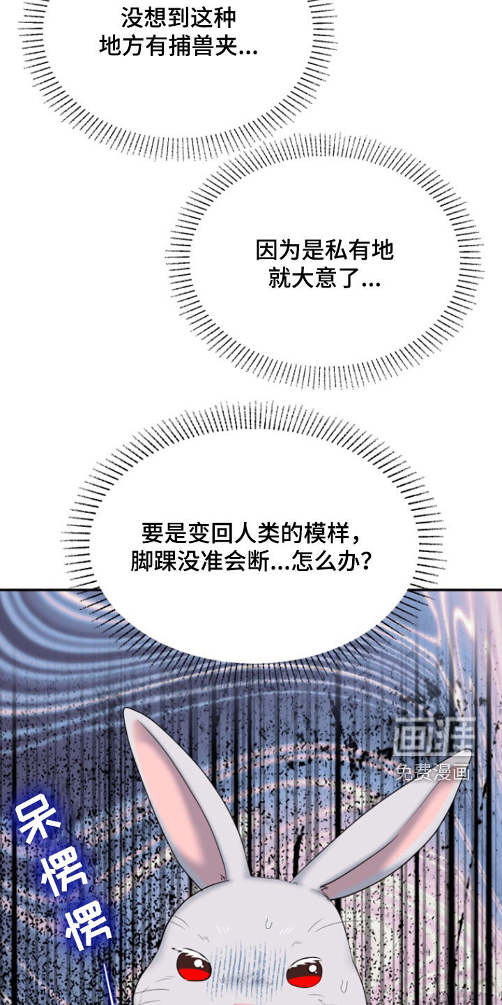 白兔为伴 第36话 第10页