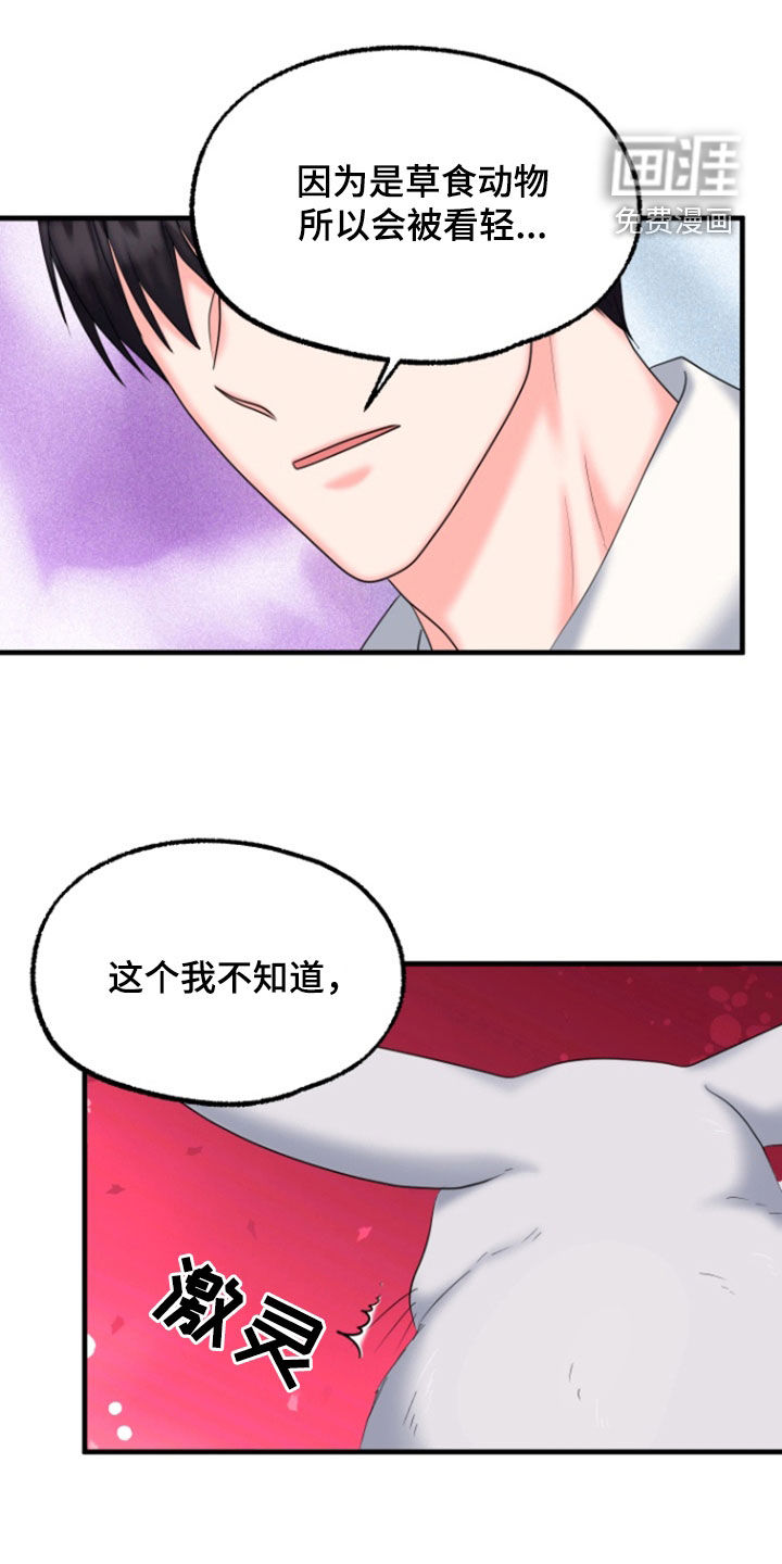 白兔为伴 第37话 第1页