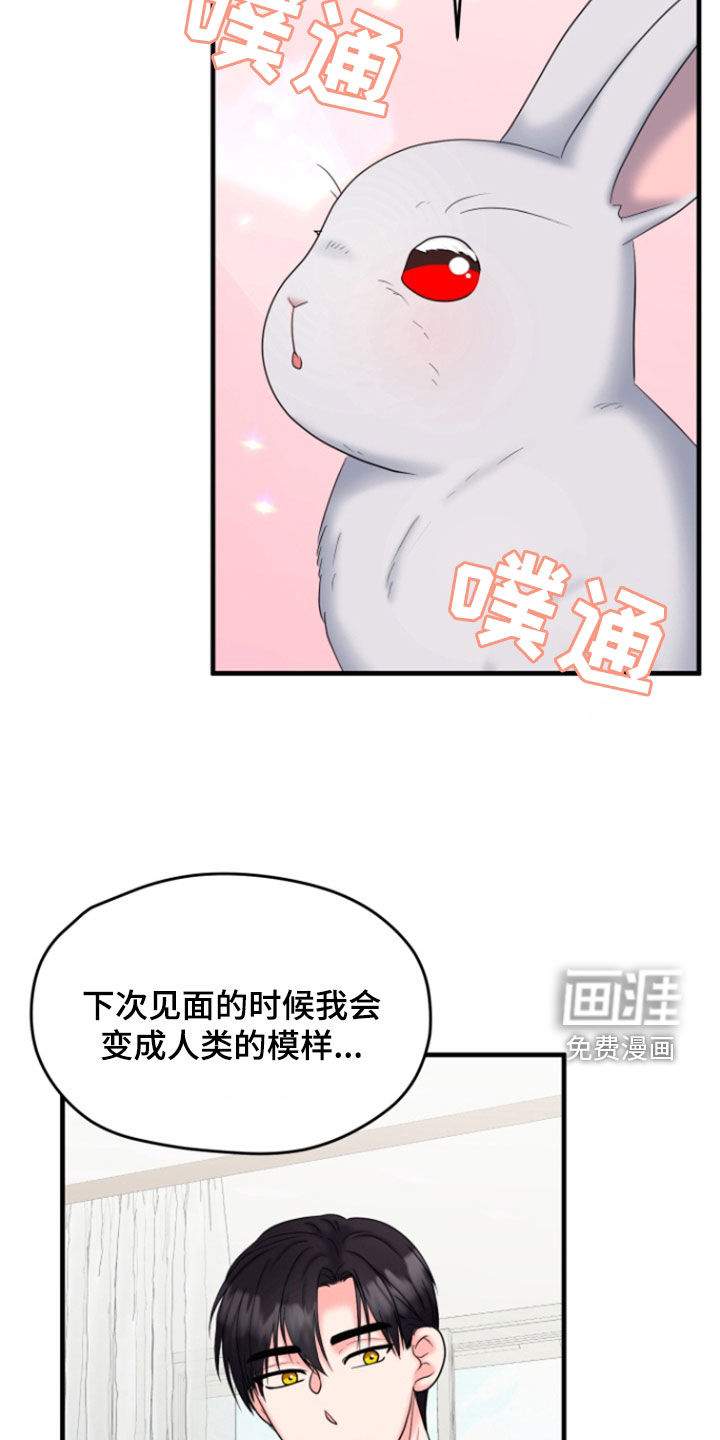 白兔为伴 第37话 第11页