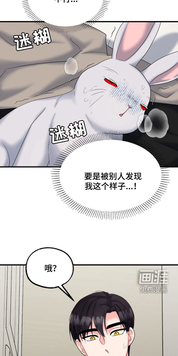白兔为伴 第37话 第26页