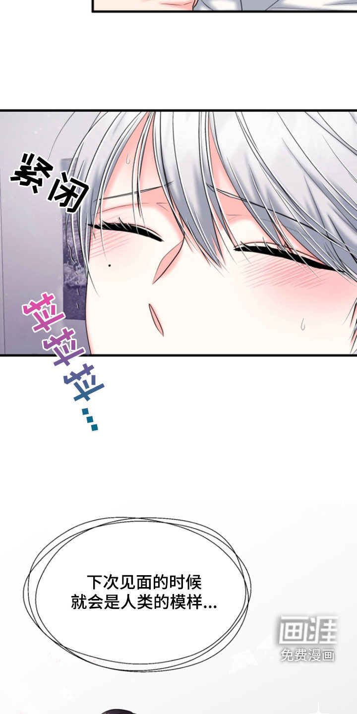 白兔为伴 第38话 第14页