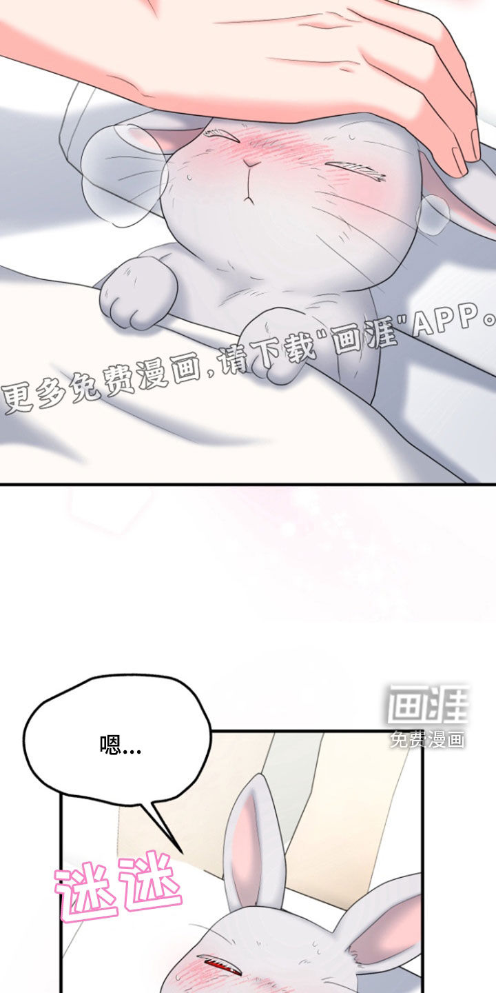 白兔为伴 第38话 第4页