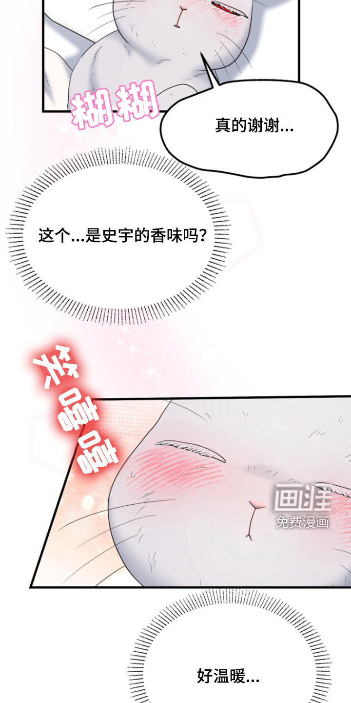 白兔为伴 第38话 第5页