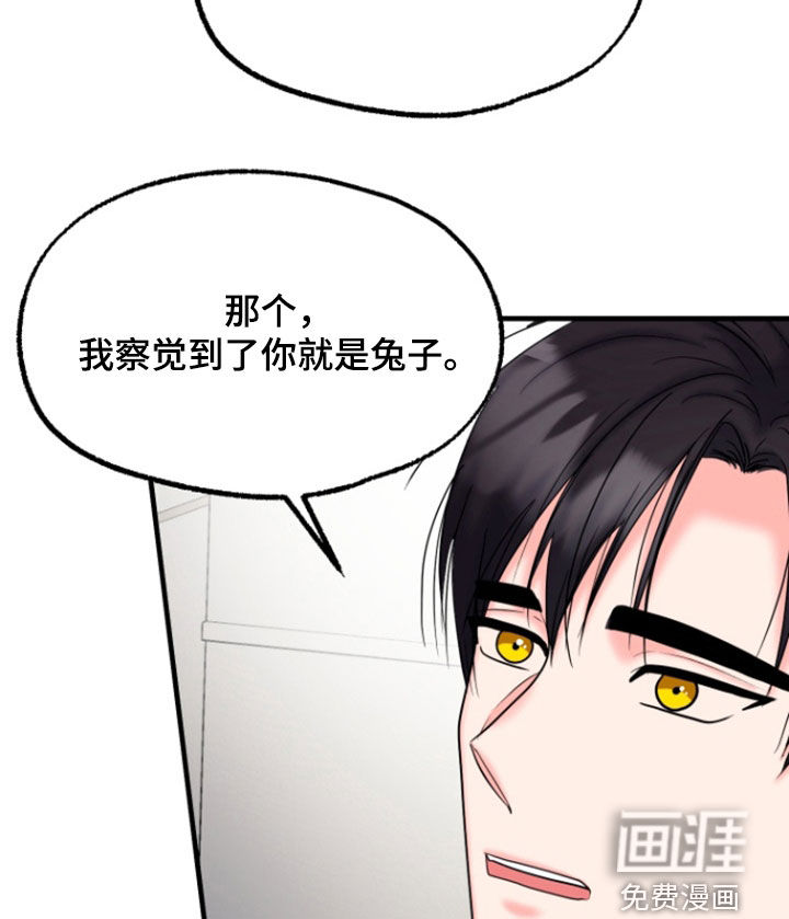 白兔为伴 第39话 第4页