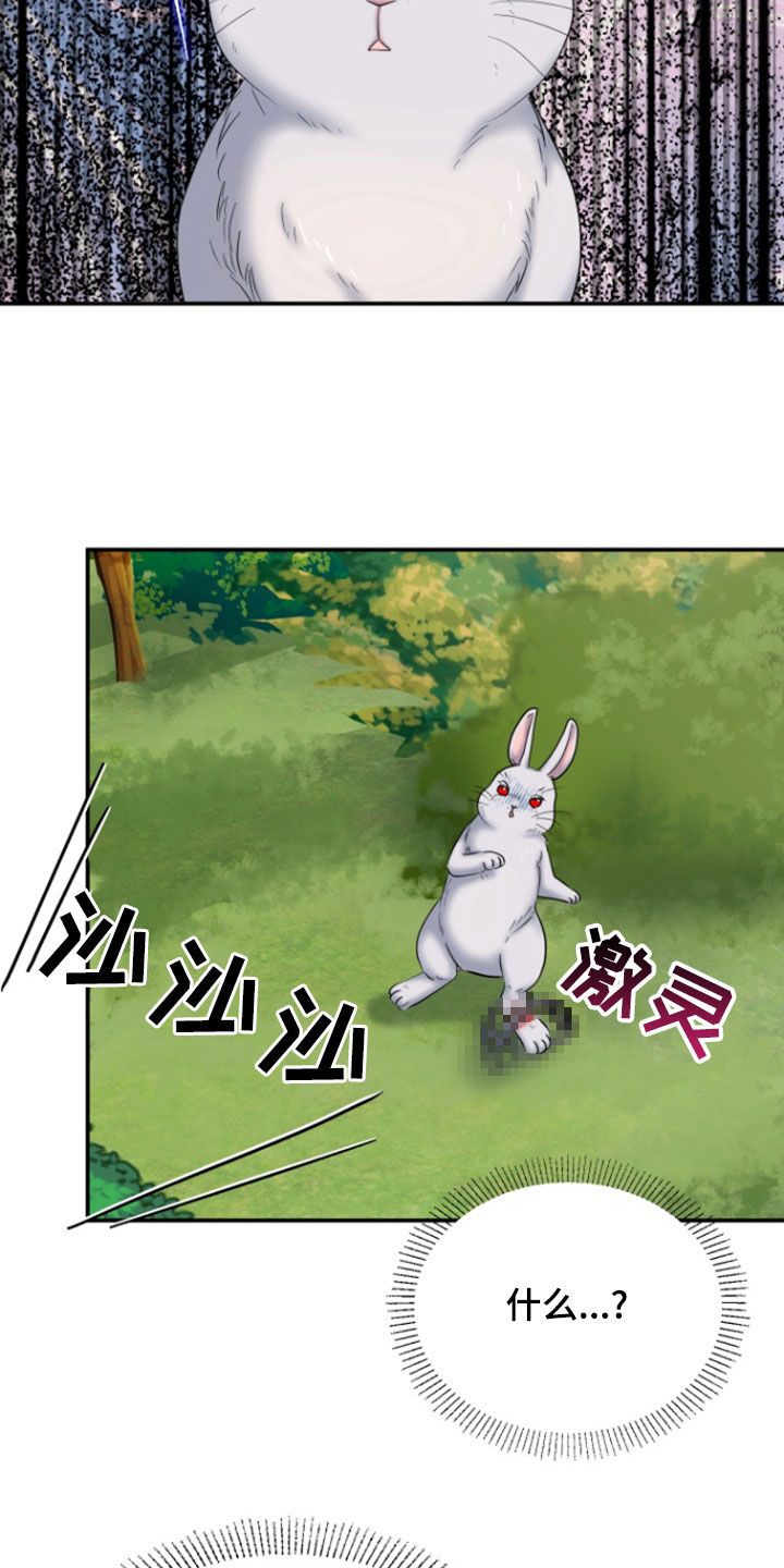 白兔为伴 第44话 第11页