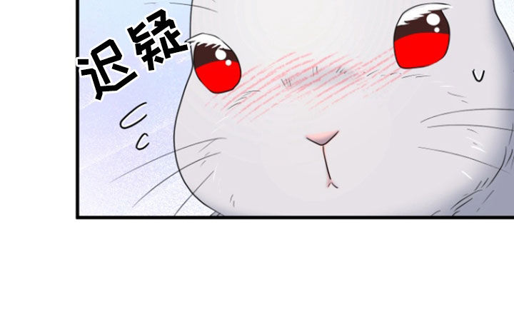 白兔为伴 第44话 第24页