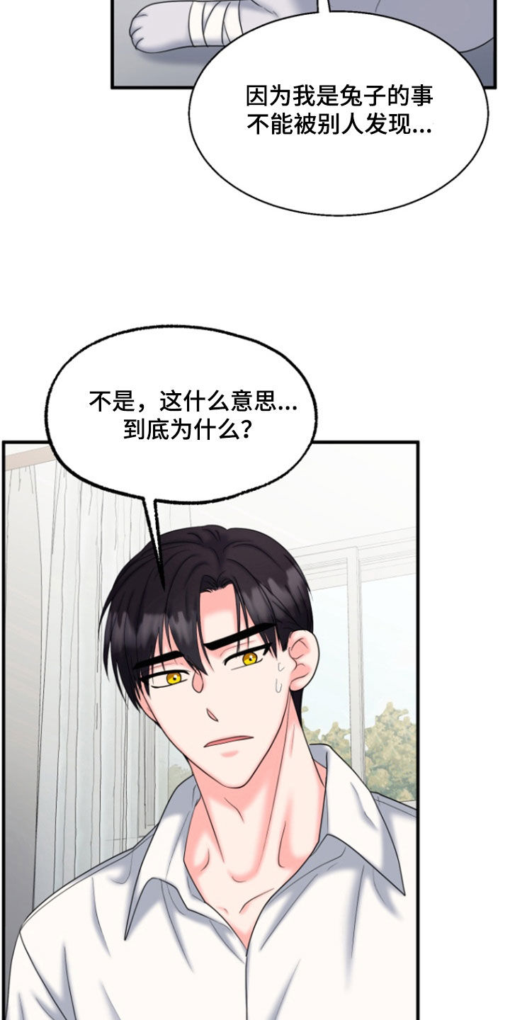 白兔为伴 第44话 第27页