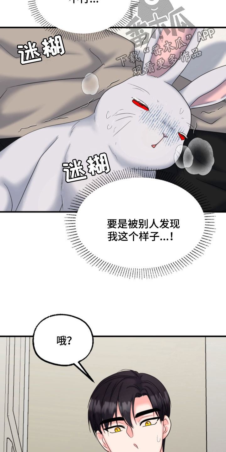 白兔为伴 第45话 第26页
