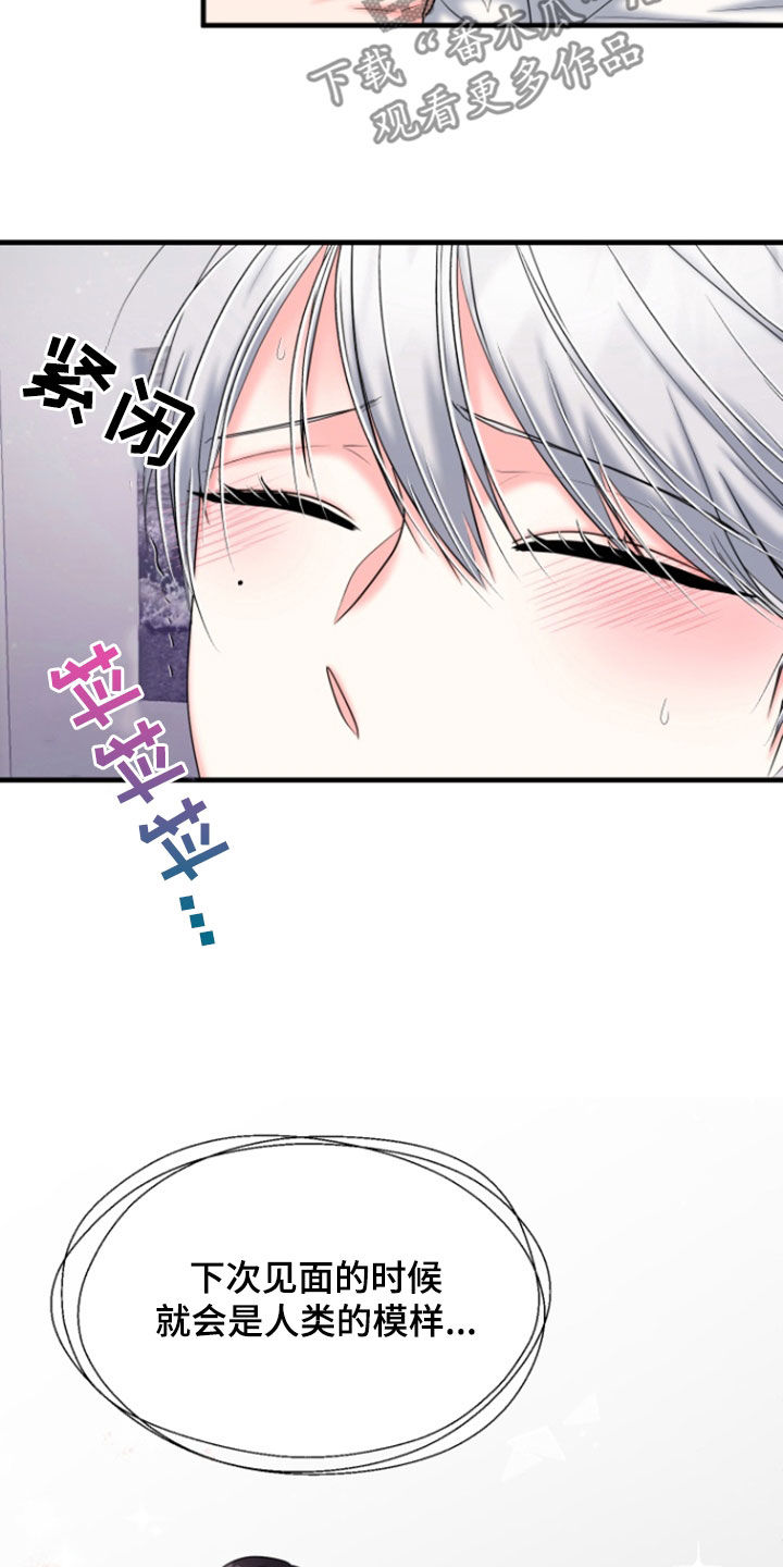 白兔为伴 第46话 第14页