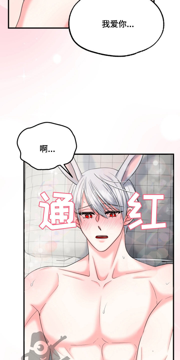 白兔为伴 第49话 第13页