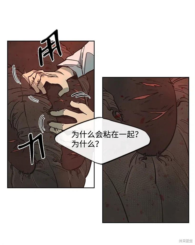 天降陨石 第33话 第38页